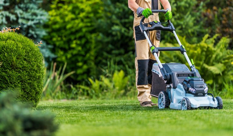 Rasenmäher im Einsatz auf einem grünen Rasen